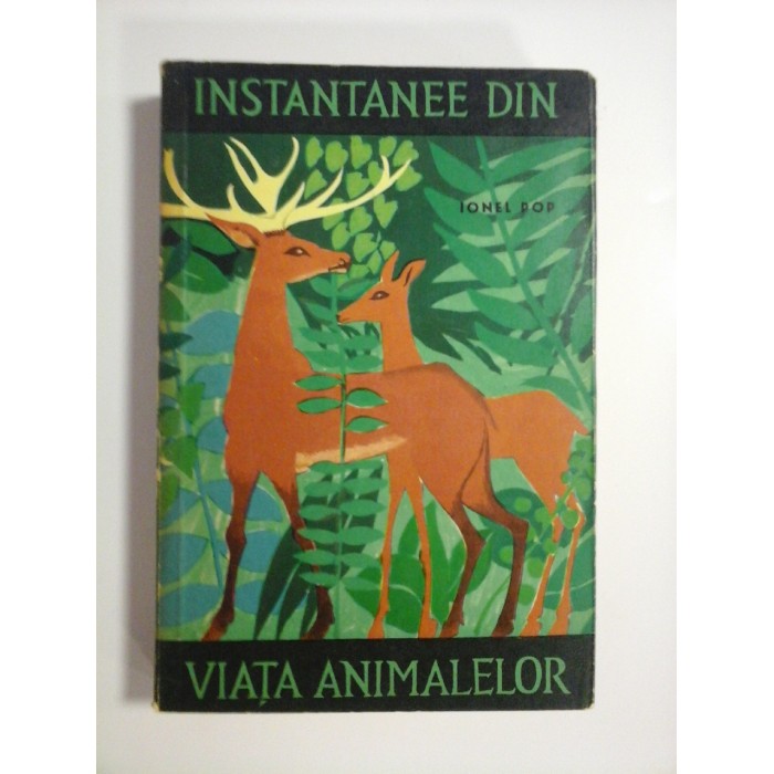      INSTANTANEE  DIN  VIATA  ANIMALELOR  -  Ionel  POP  
